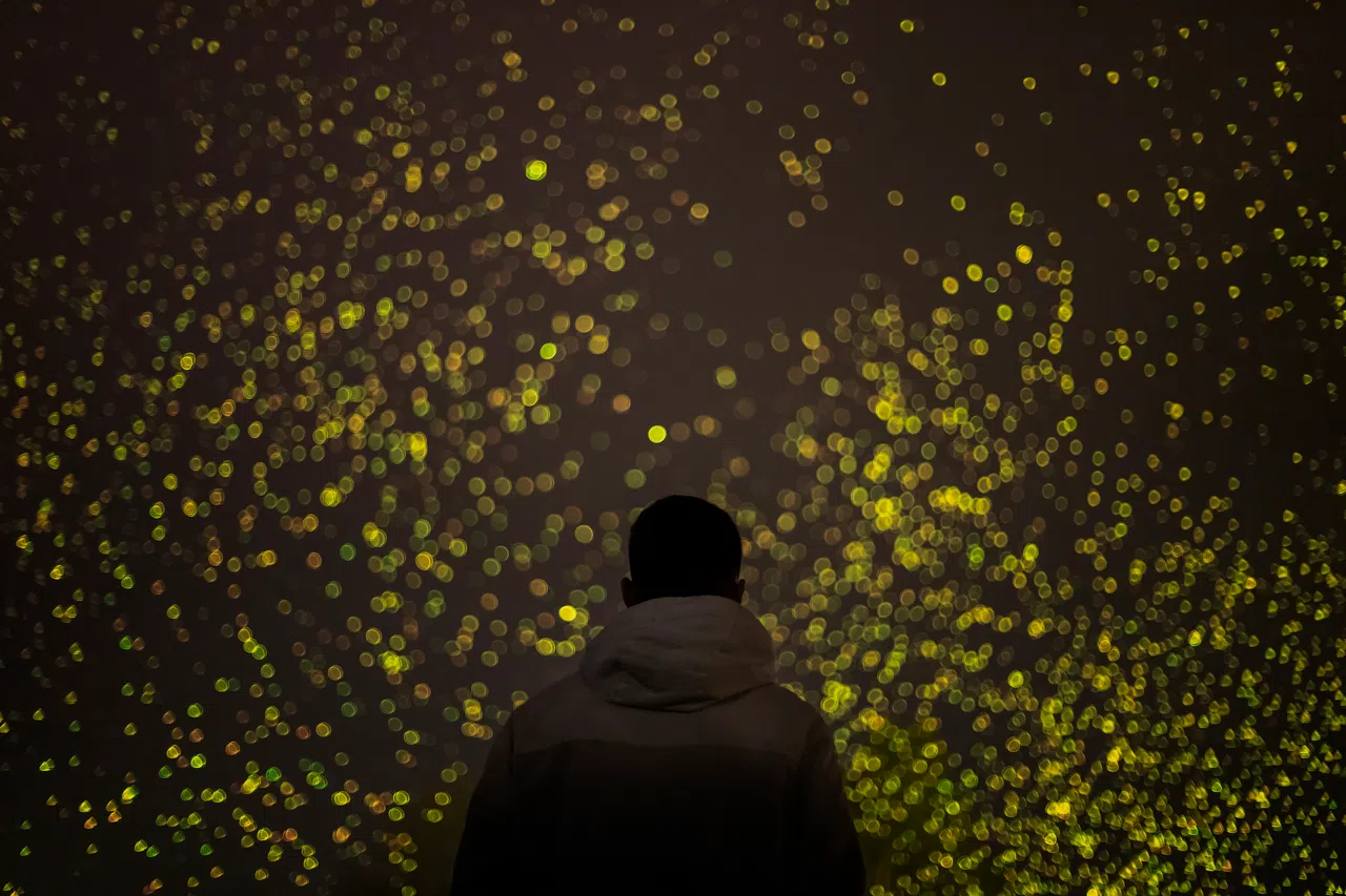 SPARK已在世界各大城市，如英国伦敦、西班牙毕尔巴鄂（Bilbao）、日本东京、澳大利亚墨尔本，以及沙特阿拉伯利雅得等地演出。（滨海湾花园提供）