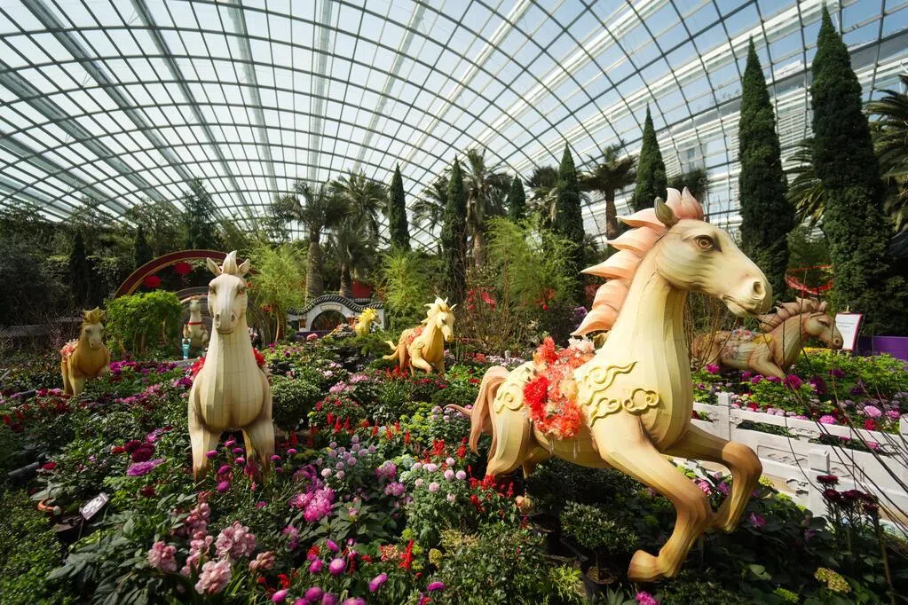 滨海湾花园推新春花展 八骏花灯与梅兰竹菊亮相