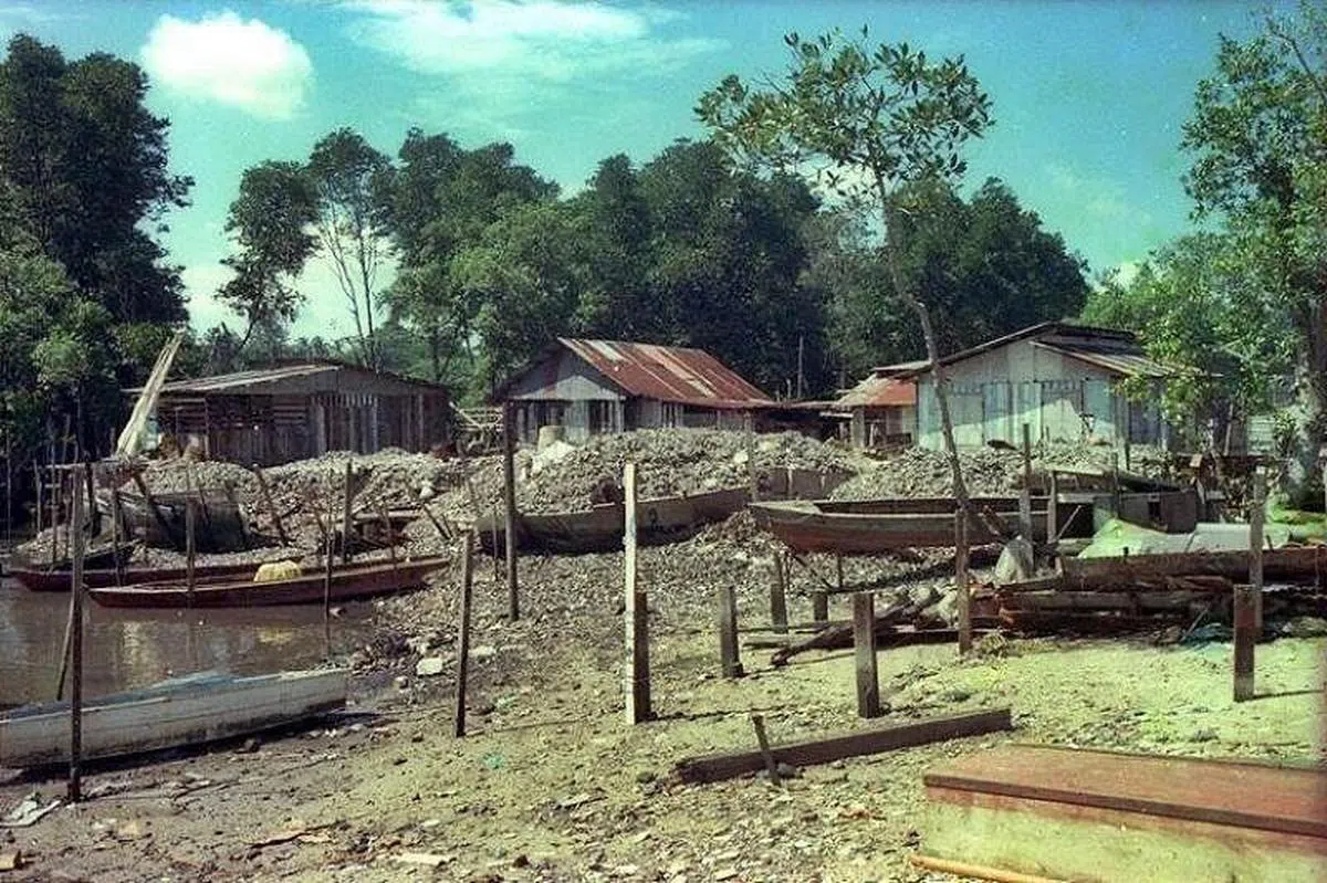早年榜鹅居民屋外堆积如山的贻贝壳。（图源：国家档案馆）
