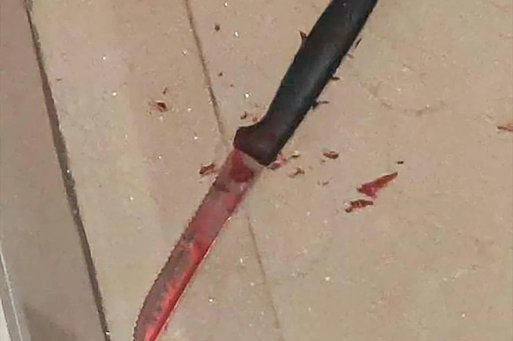 不满他另结新欢 女子挥刀伤夫被捕