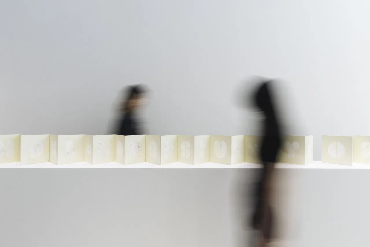 佩·怀特结合蔬菜纤维与纸张，制作出一本似屏风的折叠书籍。（STPI提供）