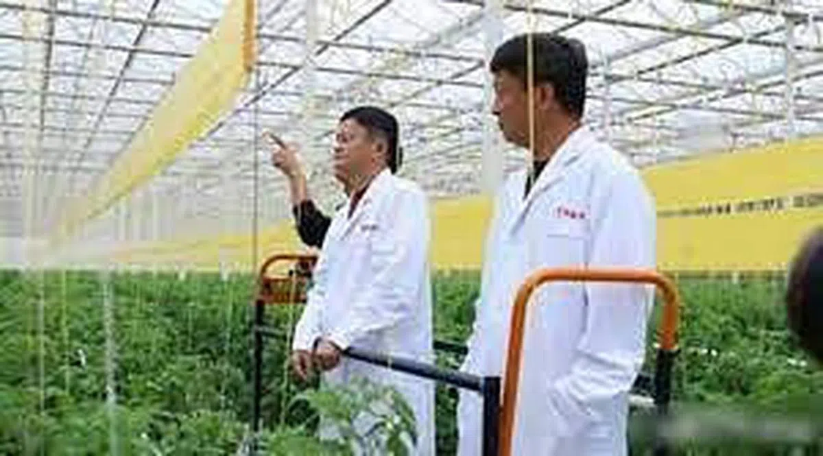 马云据报本月1日考察位于浙江省嘉兴平湖的自家农业基地时，还穿上白胞，聆听现场人员讲解。（互联网）