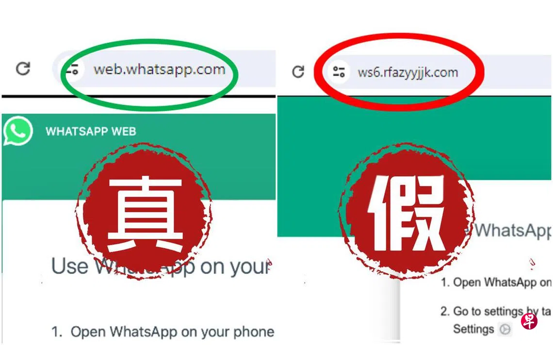 网页版WhatsApp诈骗案重现1月至今骗走约4.6万元| 联合早报