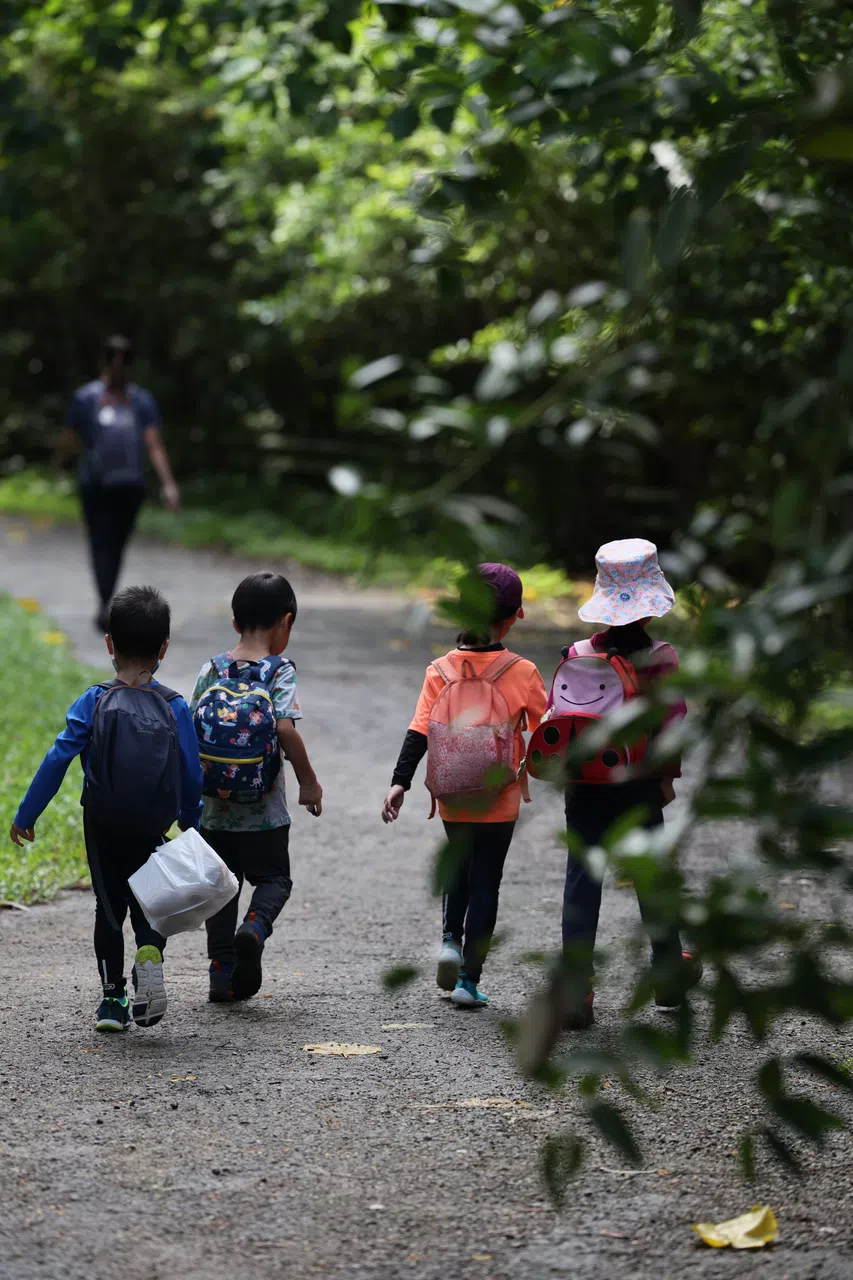 新加坡森林学校的户外课程也有为学前班幼童而设的。（档案照片）