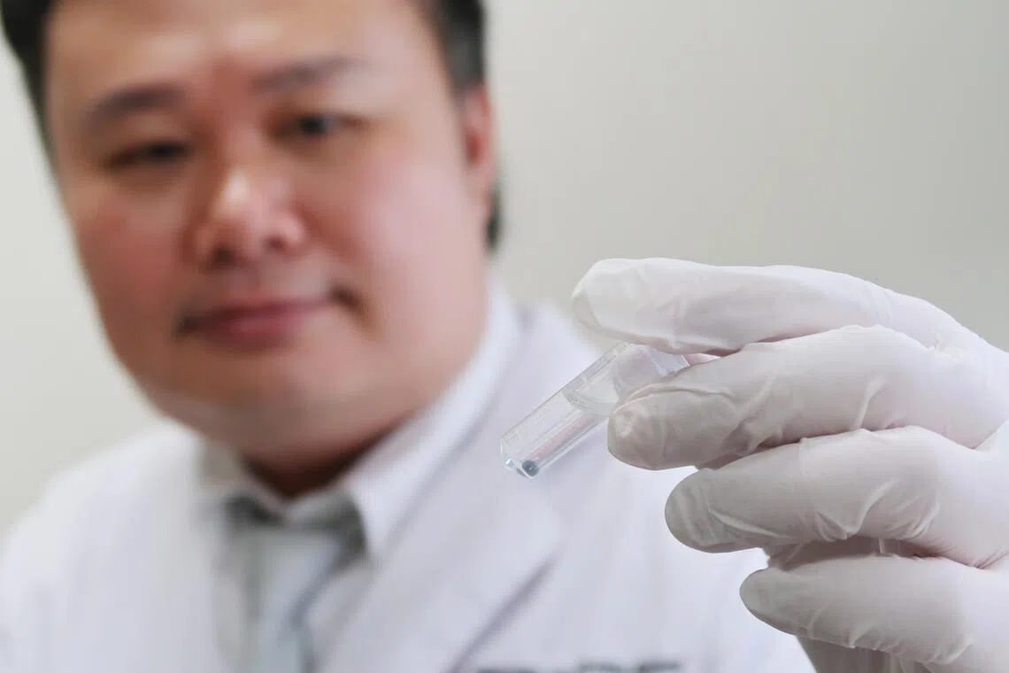 新加坡眼科研究院和参天制药联合实验室的科研人员，利用实验鼠制成患有青光眼、近视、老花眼等眼疾的动物模型，用于这些疾病的临床前研究和新药开发。图为研究员梁凯胜，向记者展示置于试管中的一个直径约2毫米的实验鼠眼睛模型。（张俊摄）