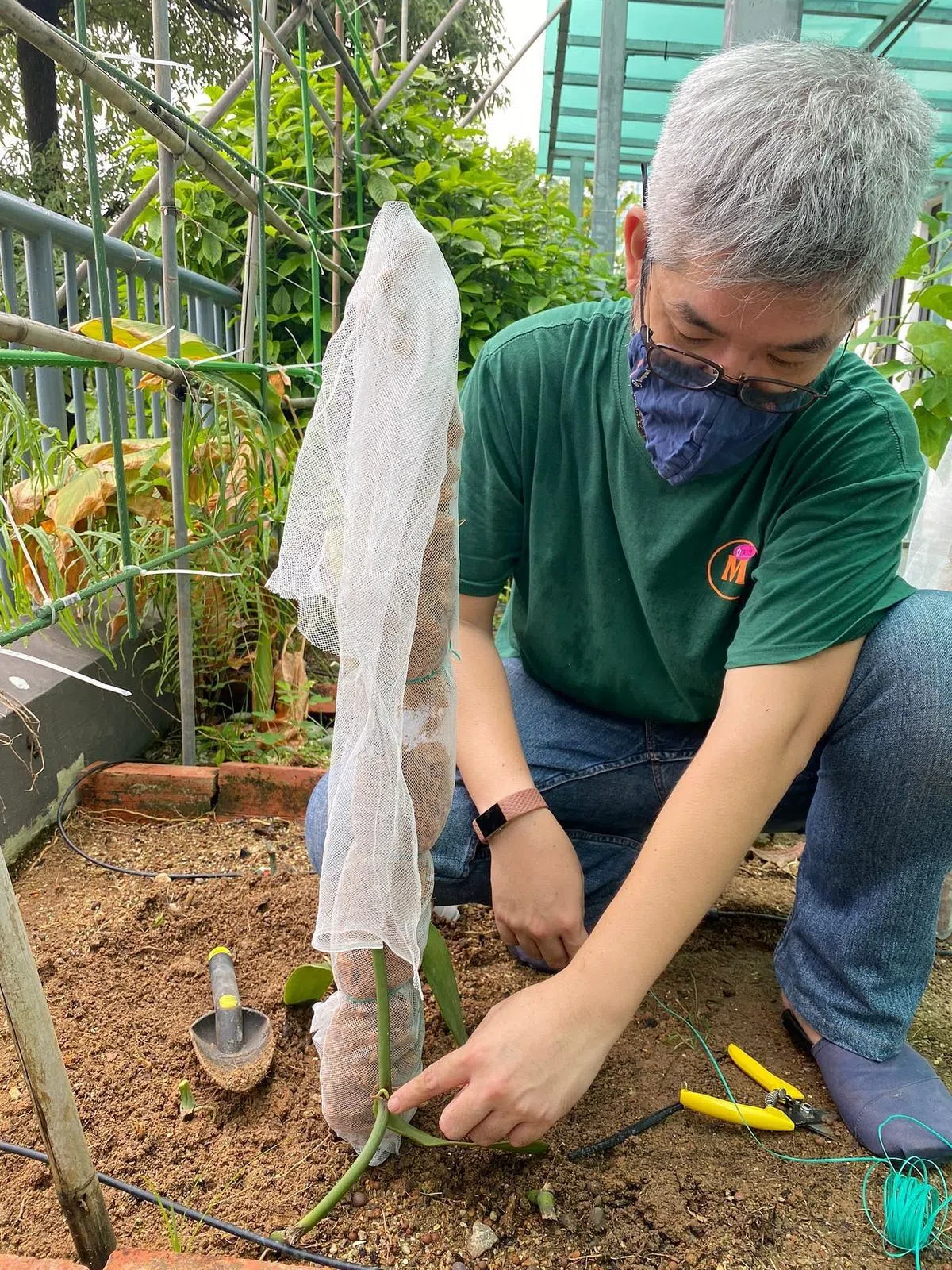 桑托索与圣安东尼女校合作，在校内种植香草，他也传授种植窍门，例如以椰壳混合椰糠，给植物提供支撑。（Mireia提供）