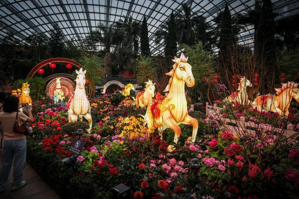 滨海湾花园推新春花展 八骏花灯与梅兰竹菊亮相