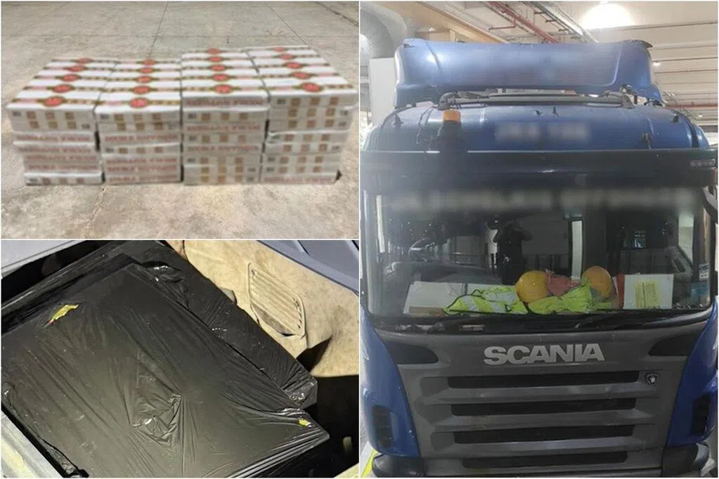 30岁马国男子涉走私香烟被逮捕