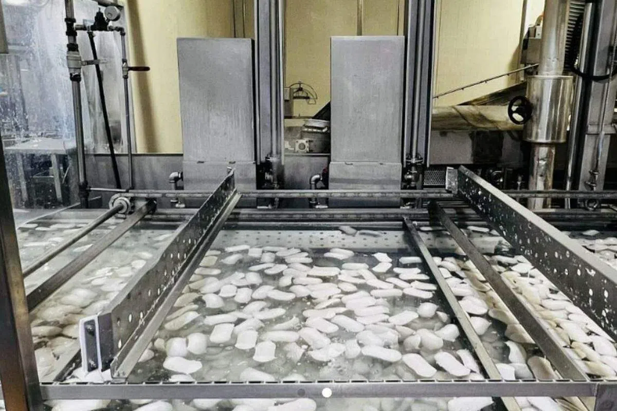 来看看你喜欢的鱼丸和蟹棒是如何生产的。（My Community提供）