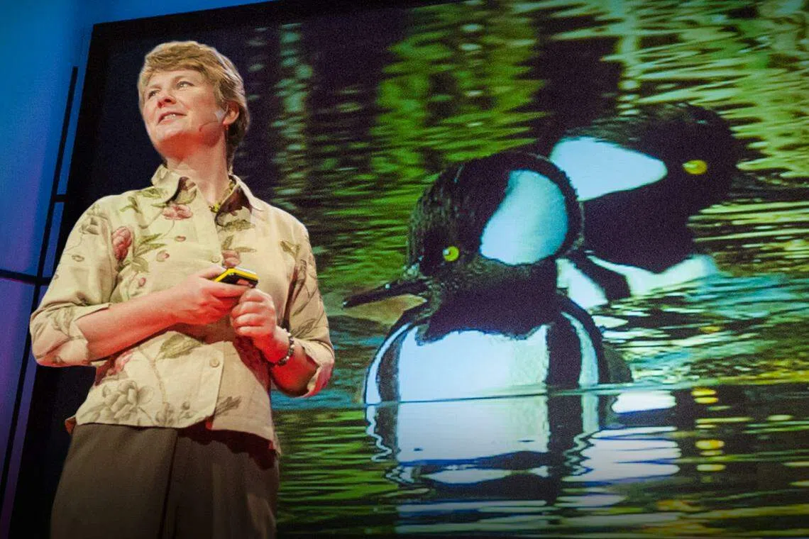 有仿生学教母之称的珍妮班娜斯（Janine Benyus）发明“Biomimicry”一词。这是她在2009年TEDGlobal大会上演讲时所摄。（TED/James Duncan Davidson提供）