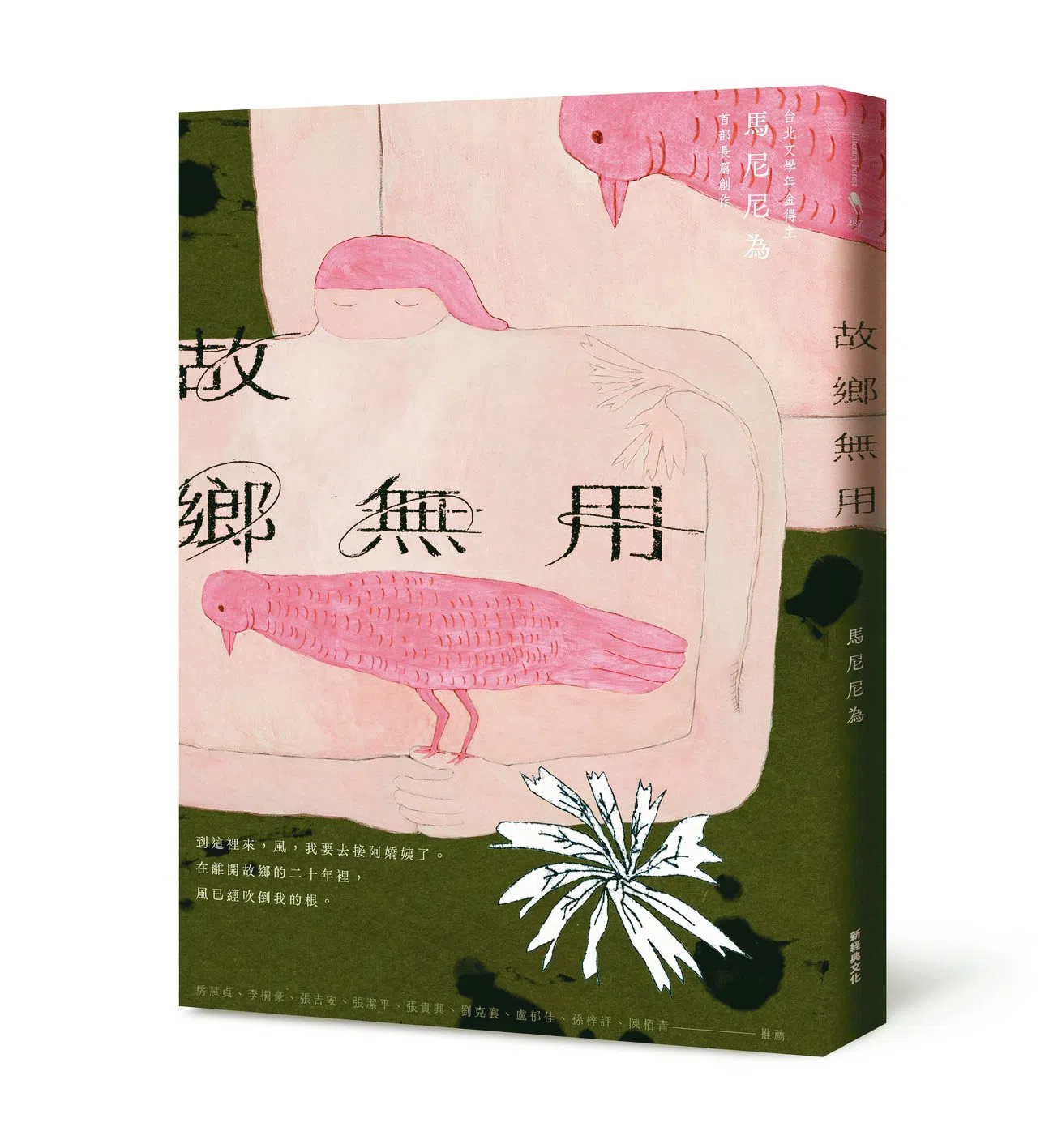 马尼尼为《故乡无用》像小说、散文，有诗的元素，也有插画，是本文类难以界定的书。（互联网）