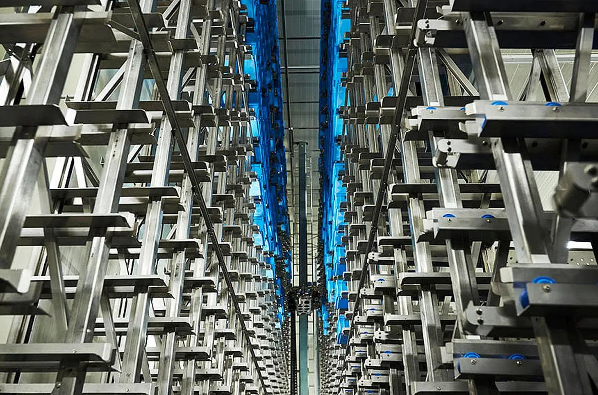 工厂的周转筐系统，可以自动回转、清洗、叠好，员工无需耗时耗力搬运和清洗。（图/新报业集团） 