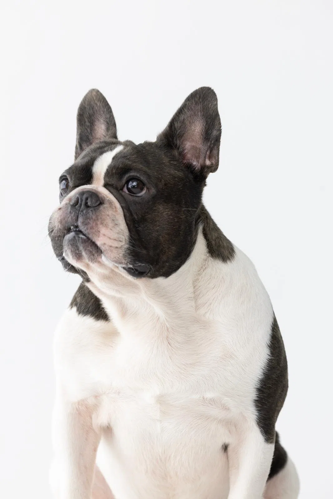 Junior Ong HuHu（受访者提供）