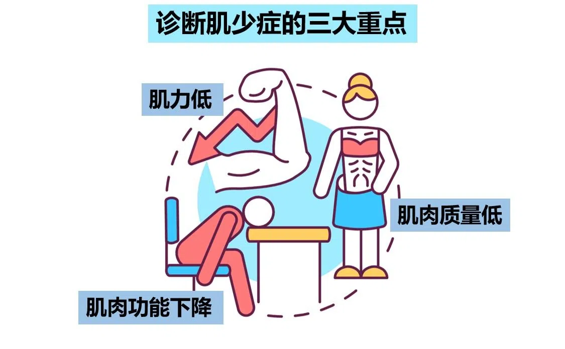 诊断肌少症的三项测试。（受访者提供）