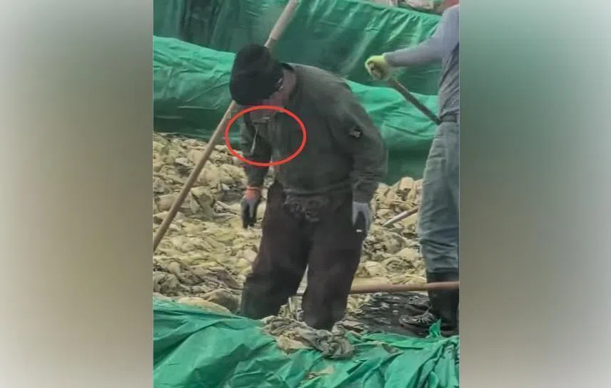 员工在酸菜腌渍池抽烟吐痰 辽宁“老痰酸菜”企业被罚