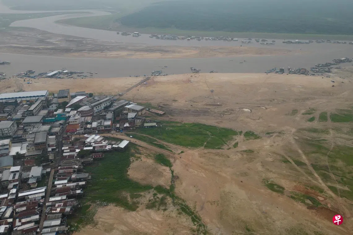 亚马逊雨林消失面积为德法总和南美干旱野火加剧| 联合早报