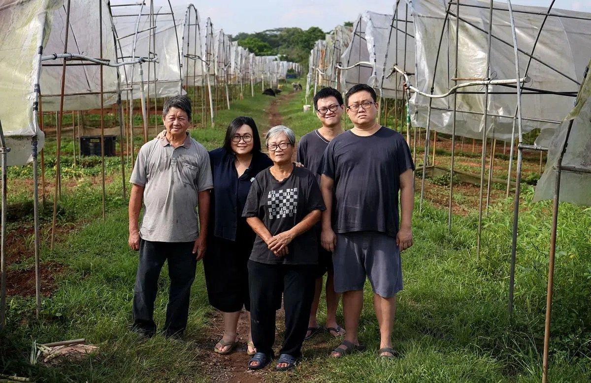 萤火虫健康蔬菜农场是蔡建静（左一）的梦想，也凝聚了一家人的爱。左二起为女儿蔡晓熹、太太蔡来玉、幼子蔡佑钊和长子蔡念昆。（档案照片）