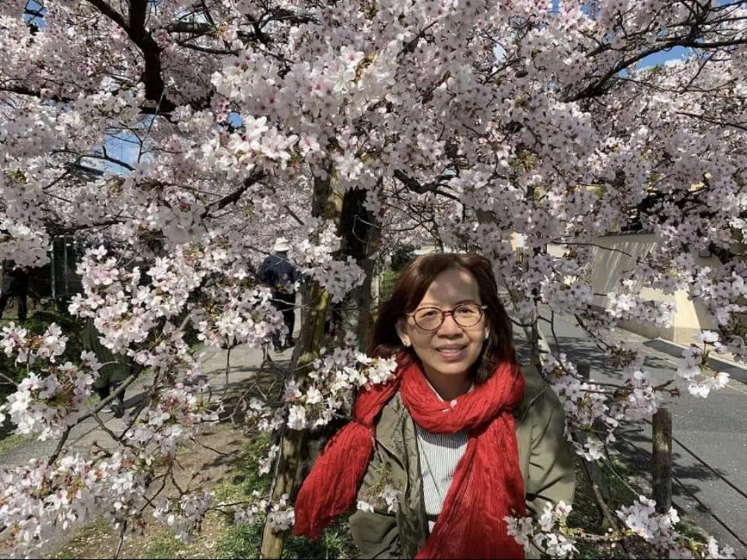 梁丽庭多次在日本追樱。（受访者提供）