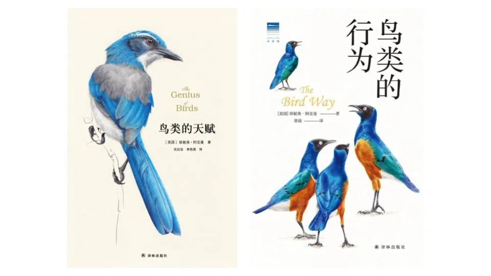 美国鸟类学家珍妮弗·阿克曼的《鸟类的天赋》与《鸟类的行为》打破鸟类不如灵长类聪明的刻板印象。（互联网）