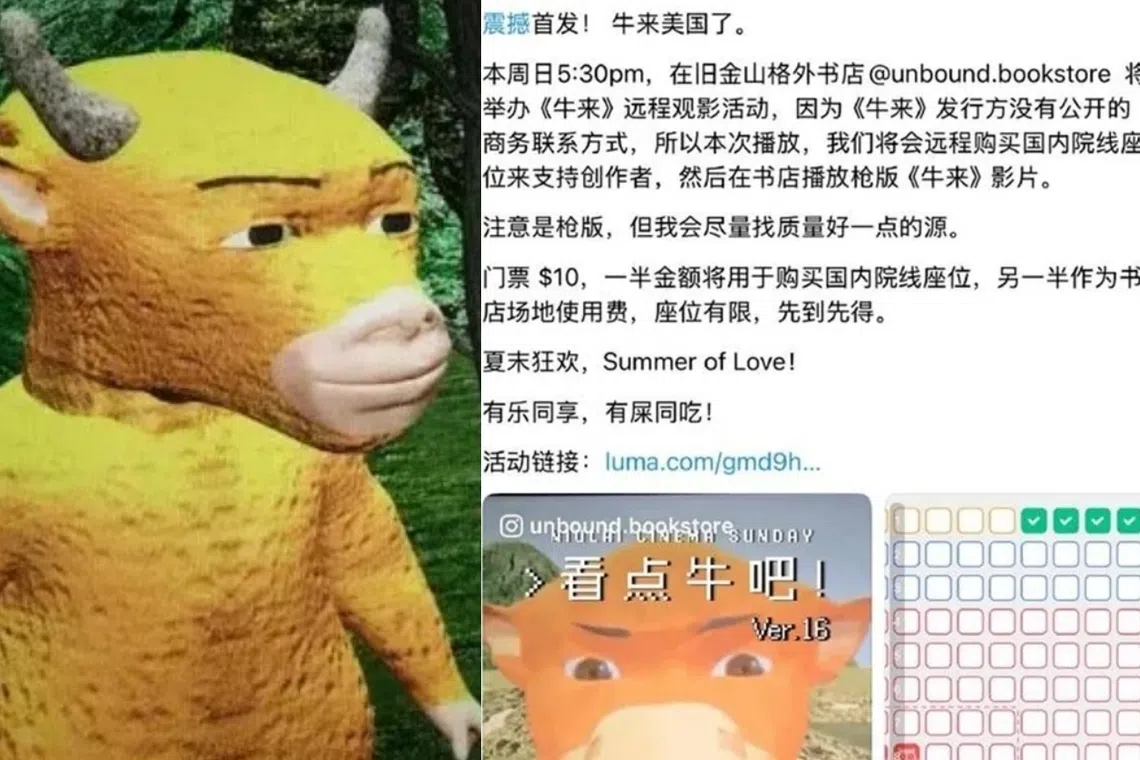 动画电影《牛来》引发热议，旅美的中国人竟然还要举办盗版首映会。（互联网）
