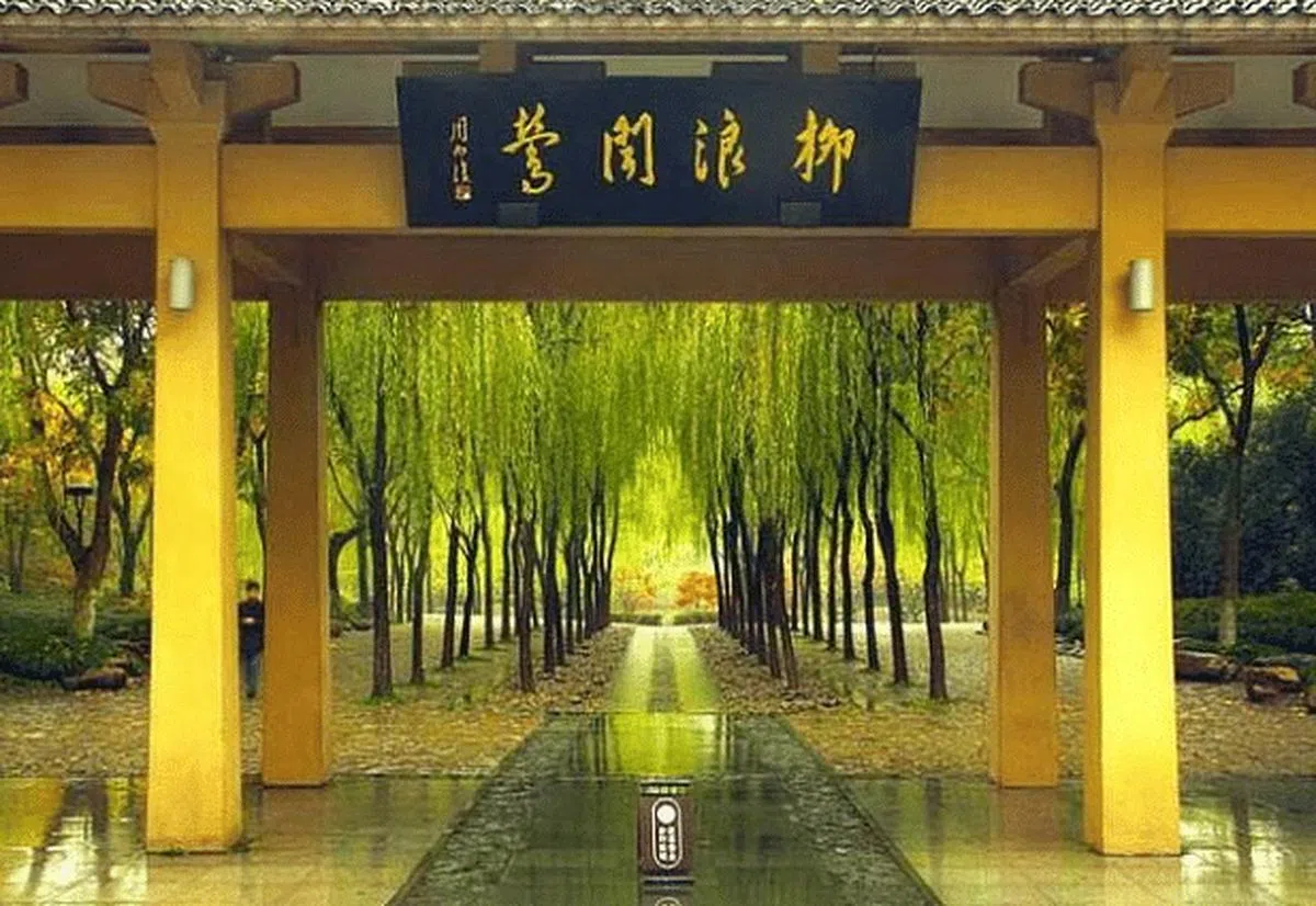 柳树在西湖景致中占据不可替代的地位。图为西湖十景之一“柳浪闻莺”。（互联网）