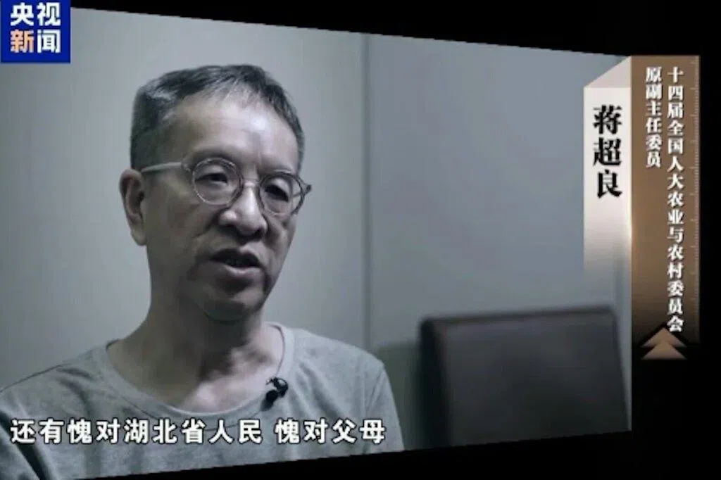 解放军报评湖北原省委书记蒋超良案：为官莫喝迷魂汤