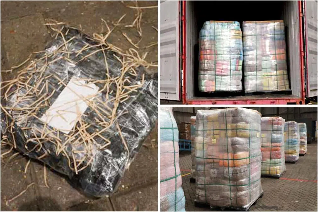 我国继今年初查获超过500公斤运往他国的大麻后，与英国执法机构联手行动，成功捣毁一个跨国贩毒网络。