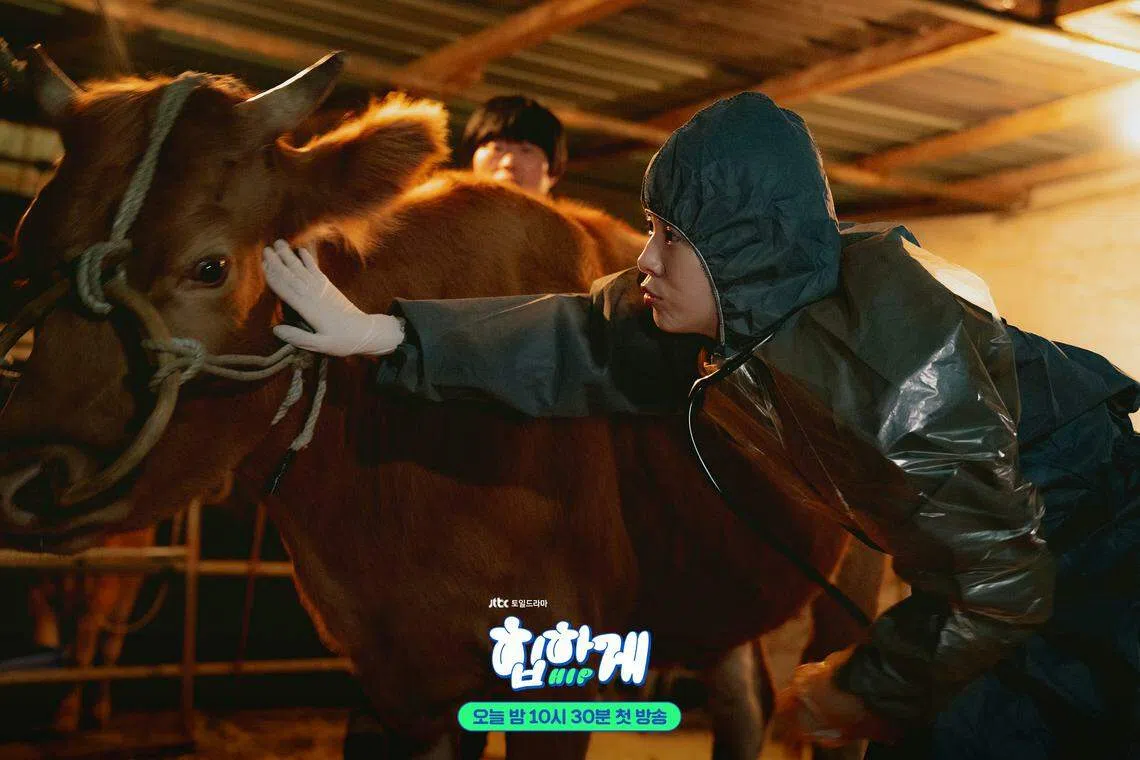 韩志旼在《摸心第六感》中有不少和动物的对手戏。（取自JTBC Drama脸书）