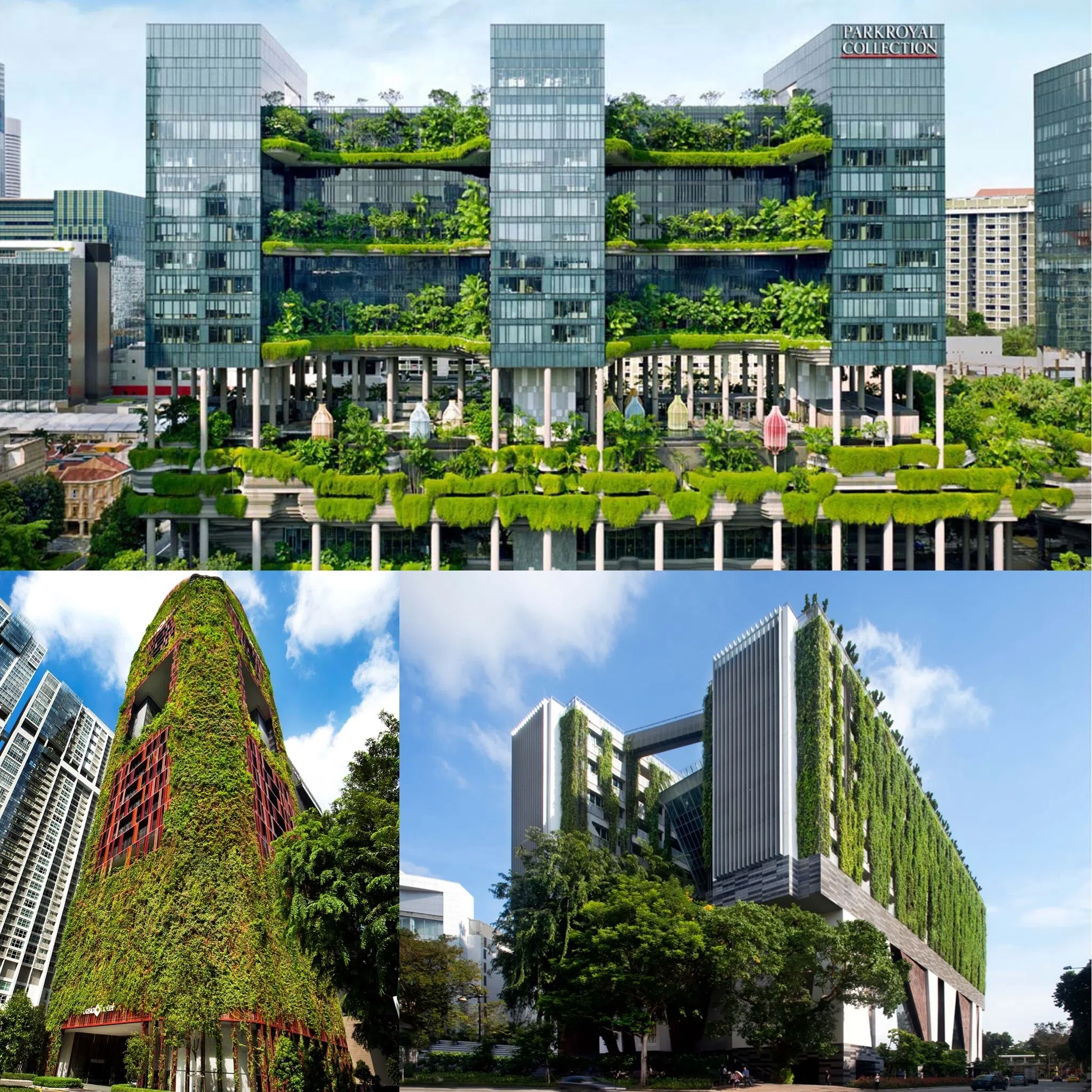 WOHA建筑事务所在20年里，共获11座总统设计奖，为获奖最多的事务所。得奖作品包括皮克林宾乐雅臻选酒店（顺时针）、新加坡艺术学院，以及新加坡市中豪亚酒店。（WOHA提供）