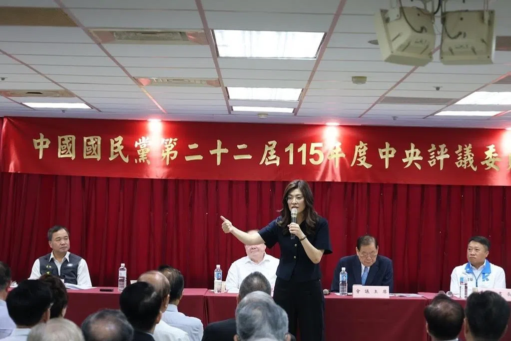 郑丽文盼蓝营团结拼年底胜选 迈向2028年重返执政