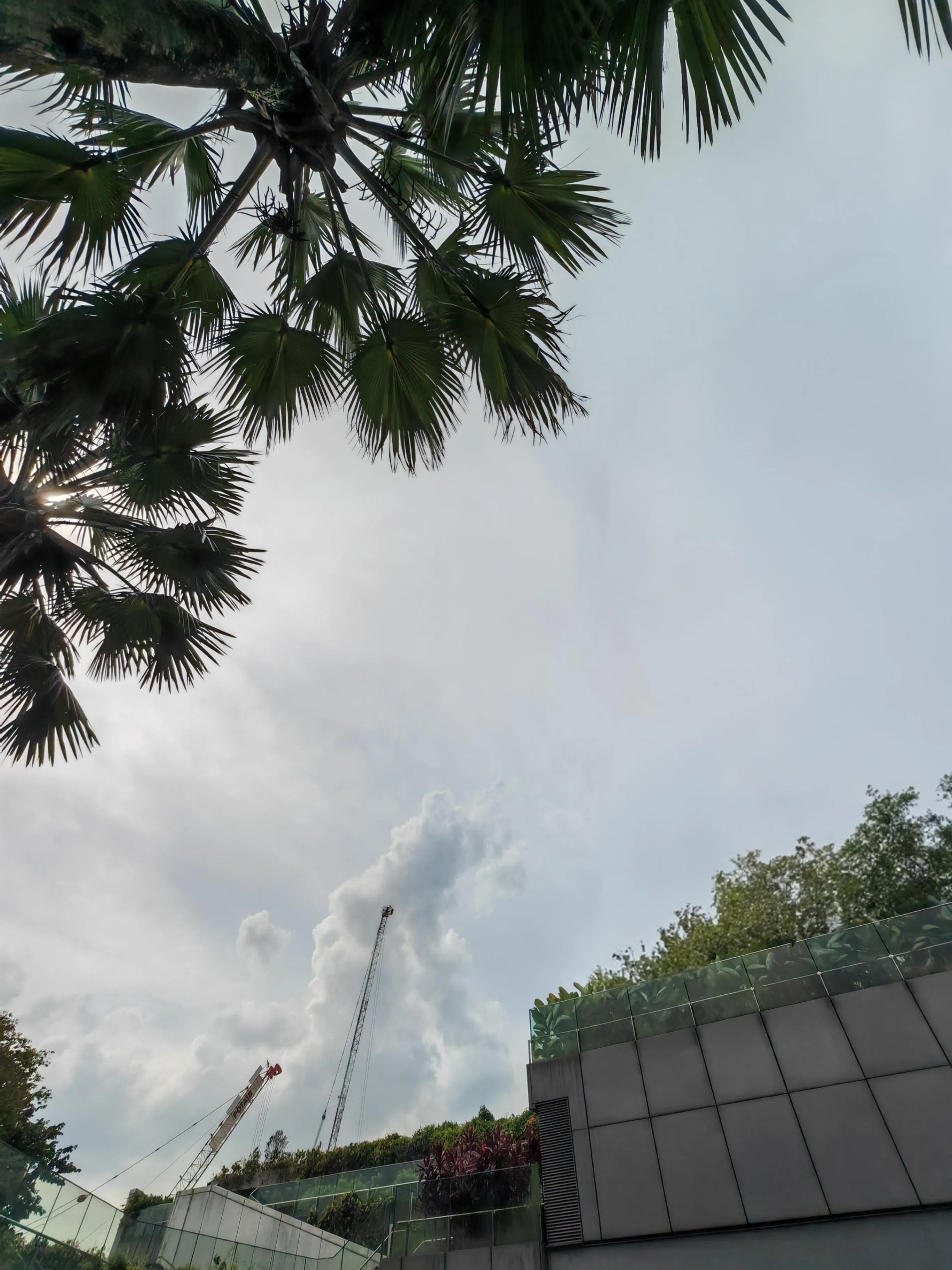 Magic V3的“AI橡皮擦”将图像中的建筑物移除。（黄少伟摄）