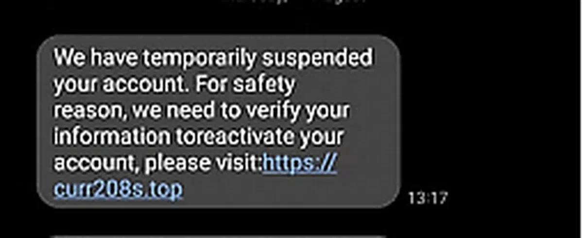 嫌犯发送的诈骗短信。（警方提供）