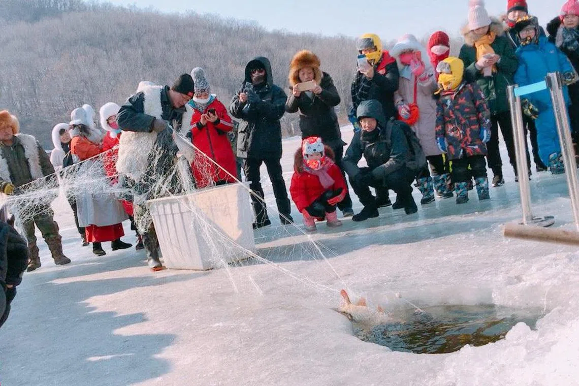 哈尔滨人冬季捕鱼活动，也让游客留下印象。（受访者提供）