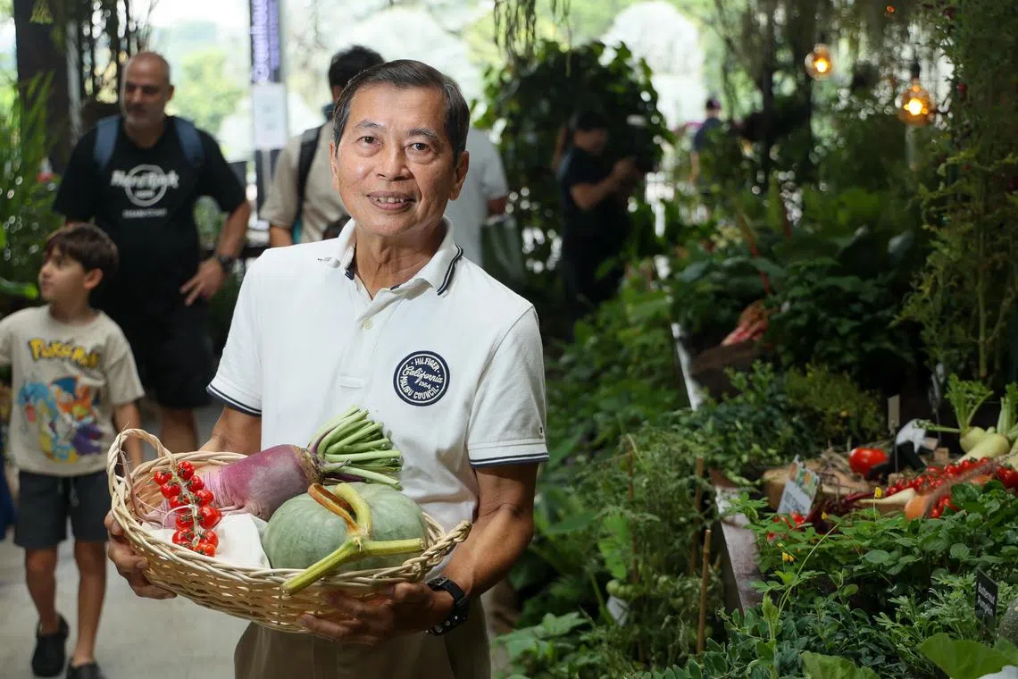 来自武吉班让第九区居民委员会的罗维德，手里捧着紫萝卜、蓝南瓜和樱桃番茄，这三样蔬果在今年社区花园蔬果比赛中都获得第一名。（张俊杰摄）