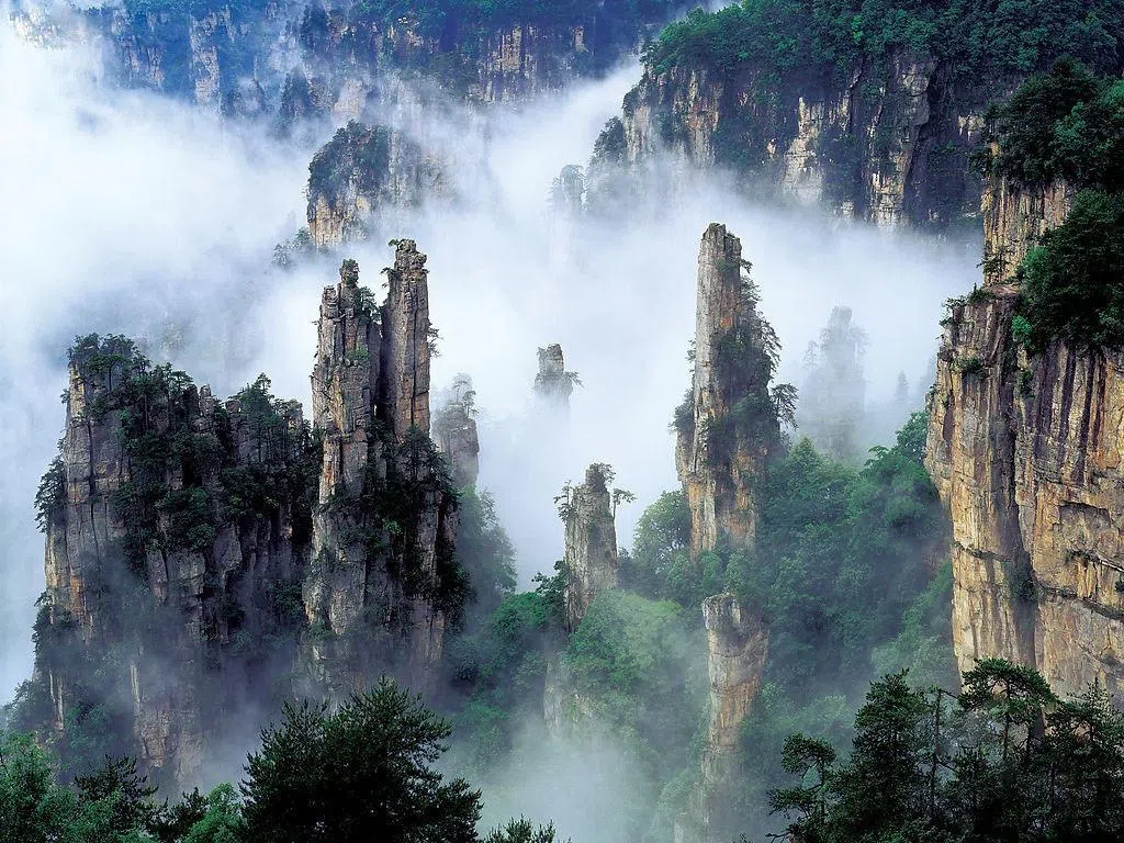 天子山的峰林壮阔，云海翻腾，气势非凡。（中欧航旅提供）