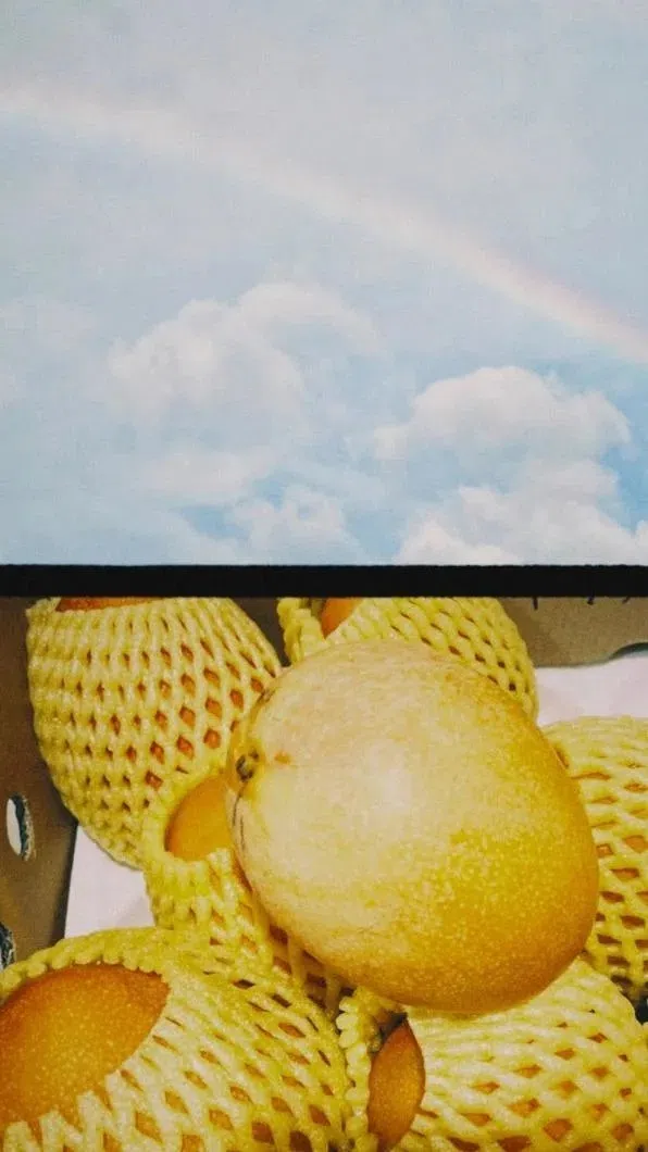 白安收到父亲生前订的芒果（下图），也看见美丽的彩虹（上图）。（取自白安IG）
