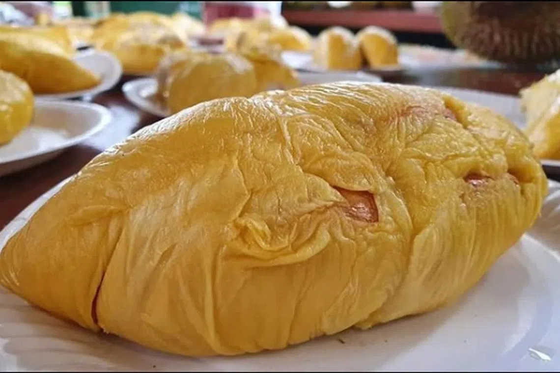 黑金榴梿是上乘“苦肉”品质的猫山王种类之一。（Duriankakisg IG）