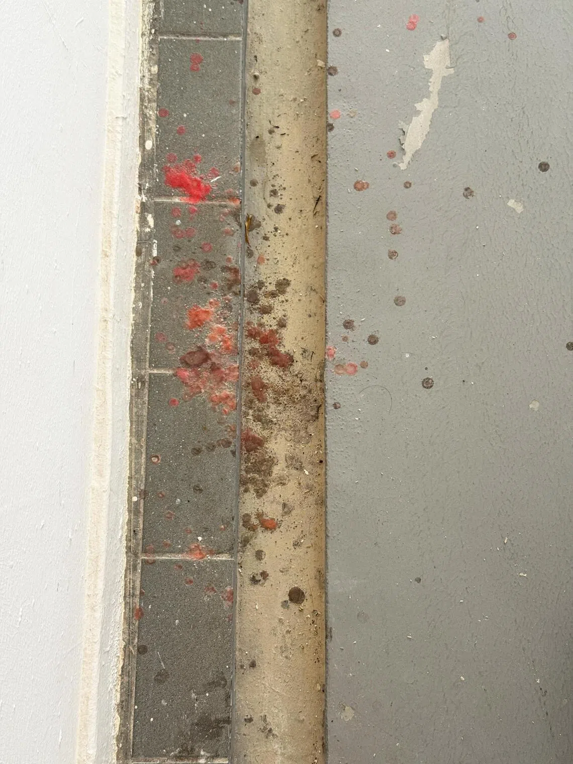 据观察，走廊留下一点一点的红色蜡痕。（纪允贤摄）