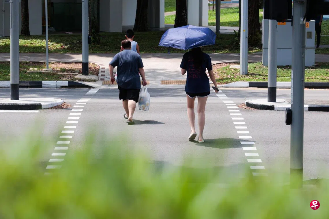 根据新加坡气象署星期一发布的8月下半月天气预报，未来两周新加坡仍受西南季候风影响，主要吹东南风或西南风。这段期间有几天天气晴朗，偶尔风势较强。 （李冠卫摄）