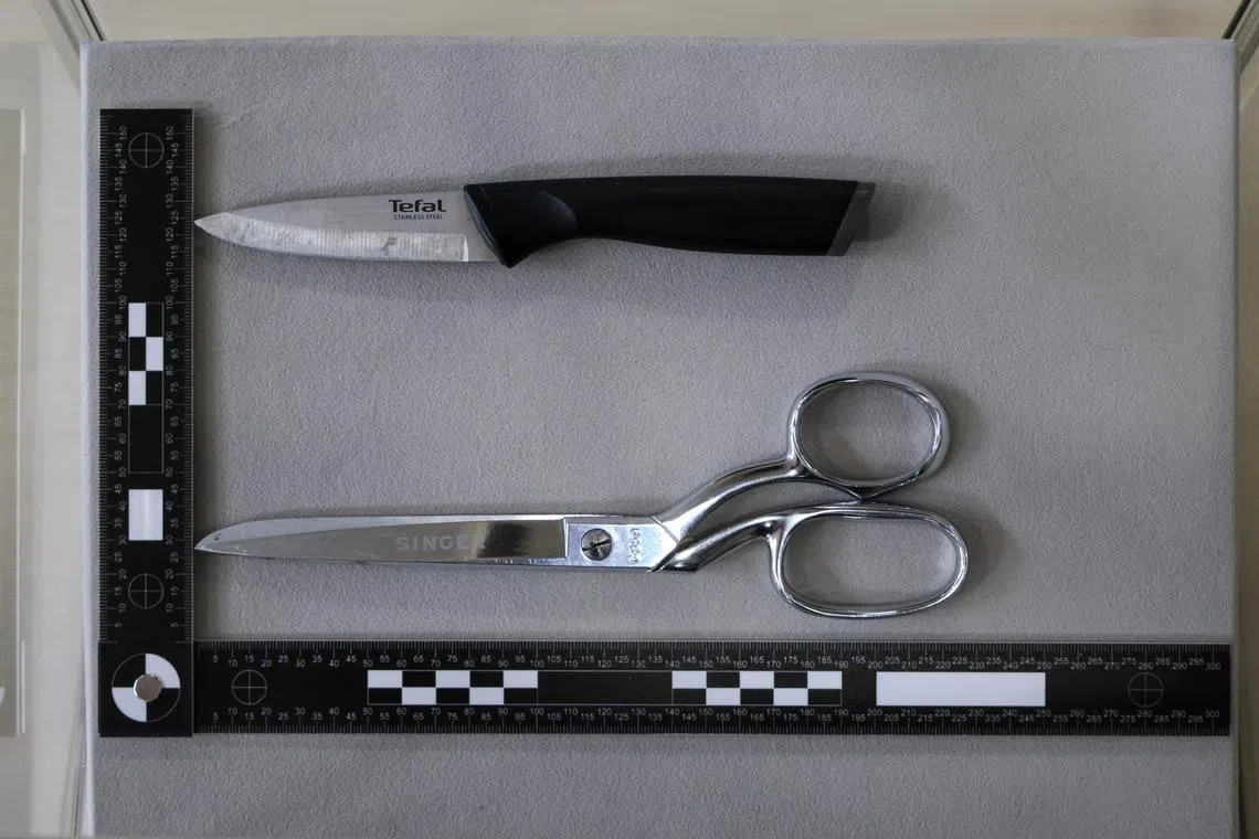 青年选择的武器是取自家中的一把裁缝剪刀和一把水果刀。（张俊杰摄）