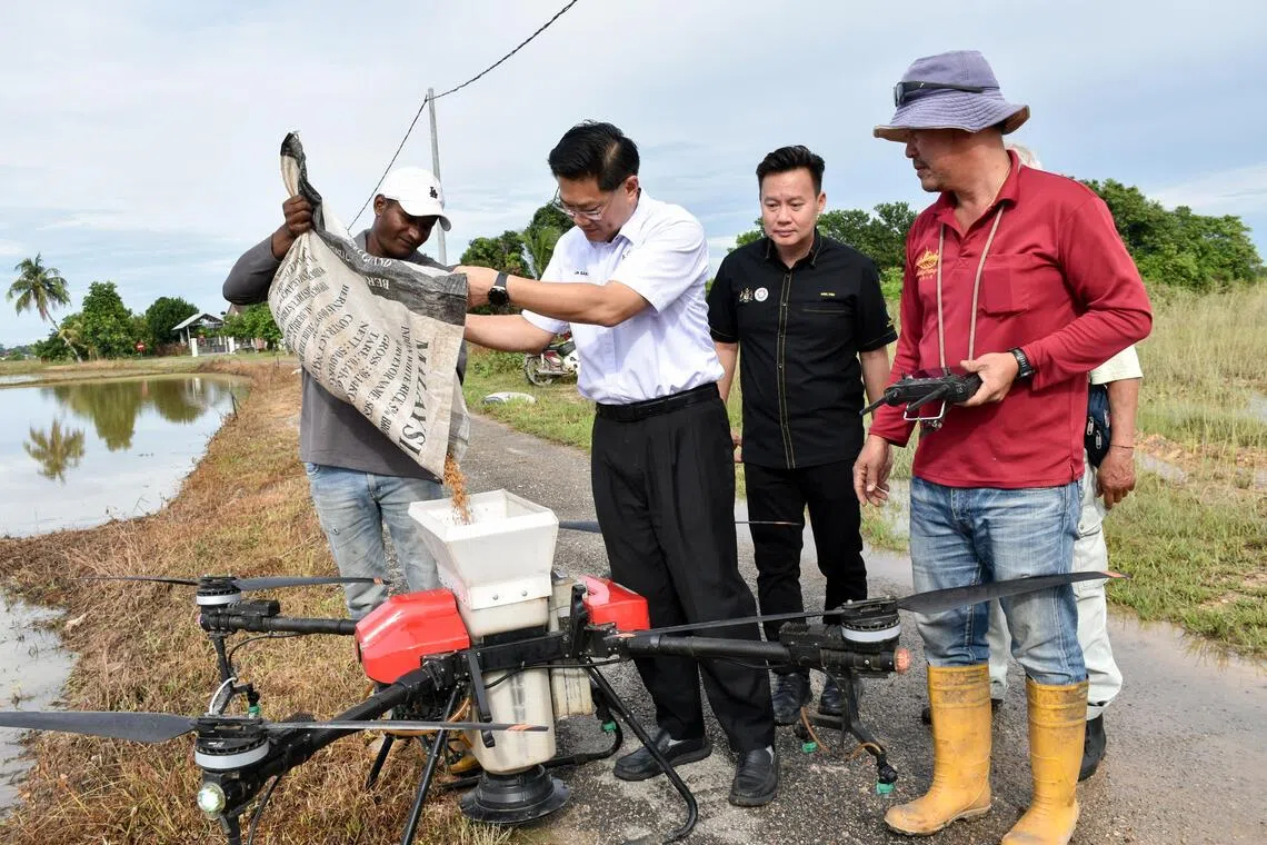 马六甲州吉里望区州议员林万锋（左二）协助将稻种倒在无人机容器中，以了解无人机播种的操作情况。右一为稻农黄瑞杰。（马新社）