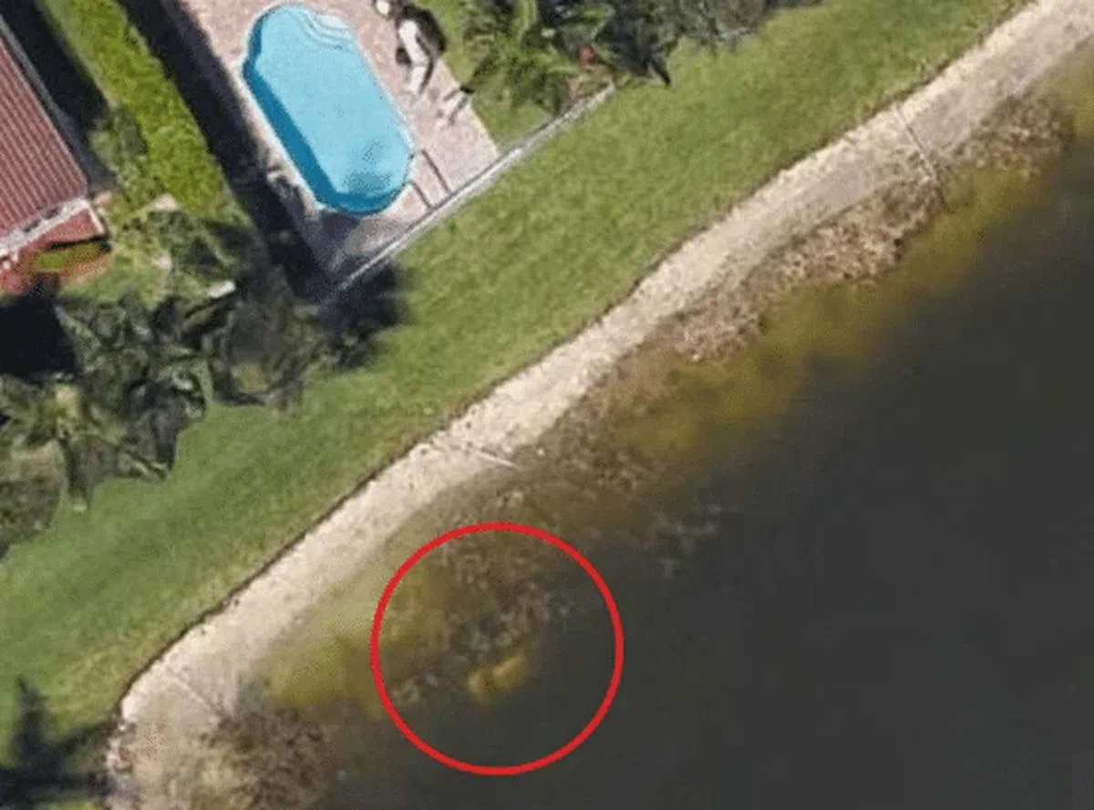 谷歌地图里可以看到莫尔特曾驾驶的汽车沉没湖中。（互联网）