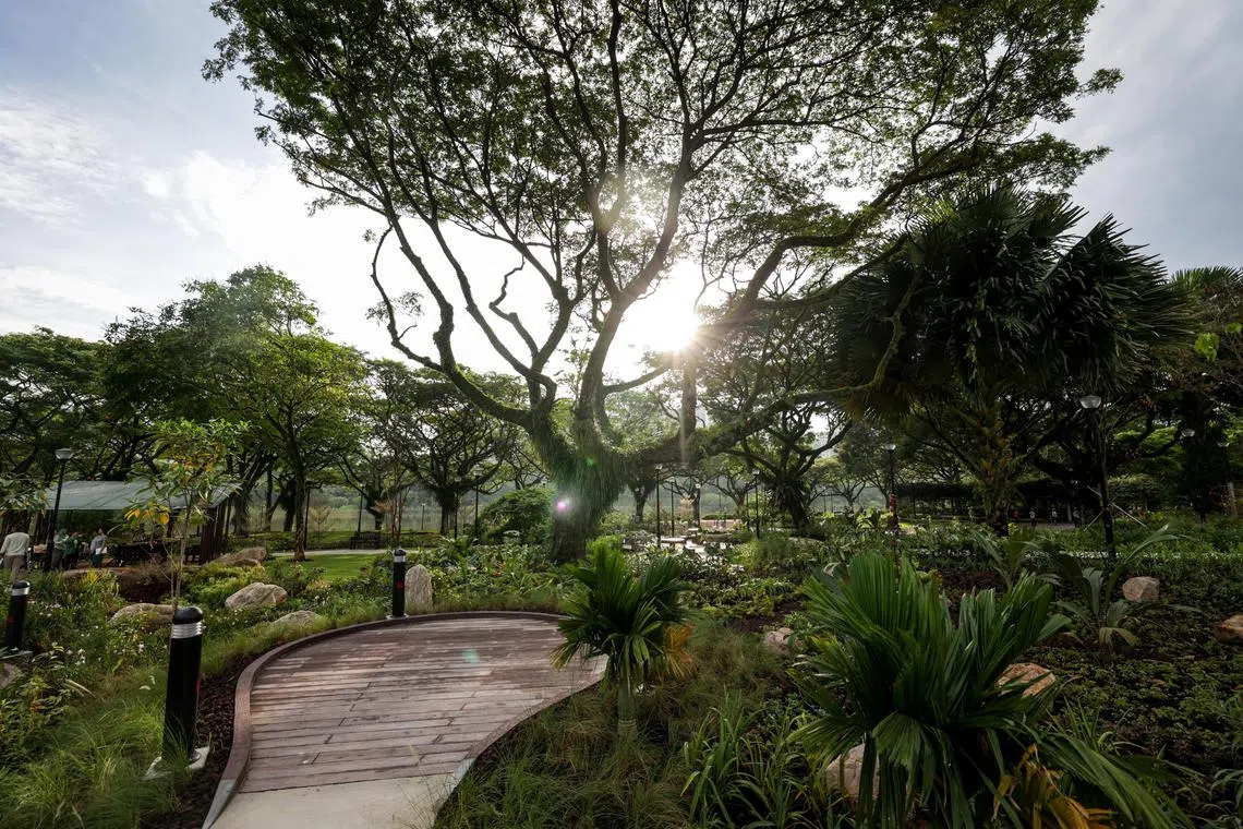 榜鹅公园康疗花园是本地第16个康疗花园。（叶振忠摄）