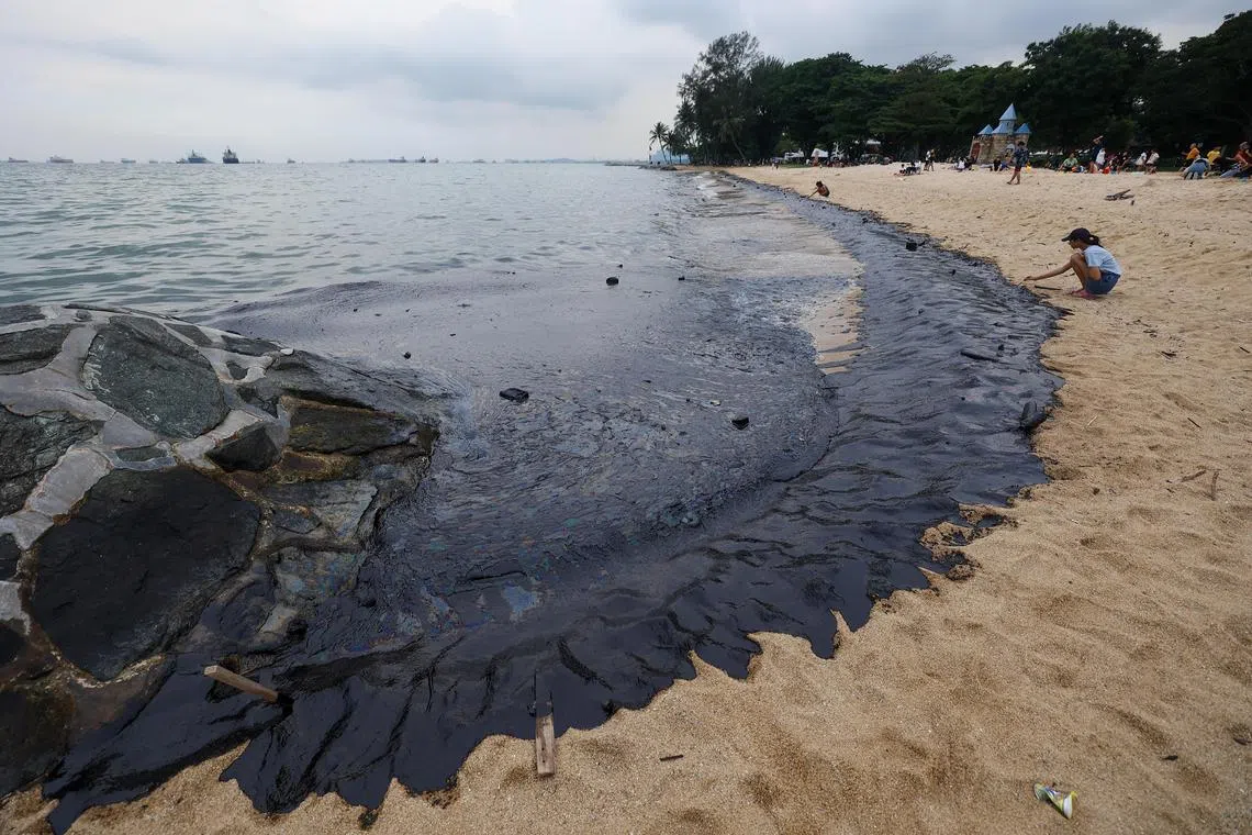 添油船Marine Honour被撞后燃油泄漏，油污扩散至附近的圣淘沙、拉柏多自然保护区和东海岸公园等处海岸。（档案照片）