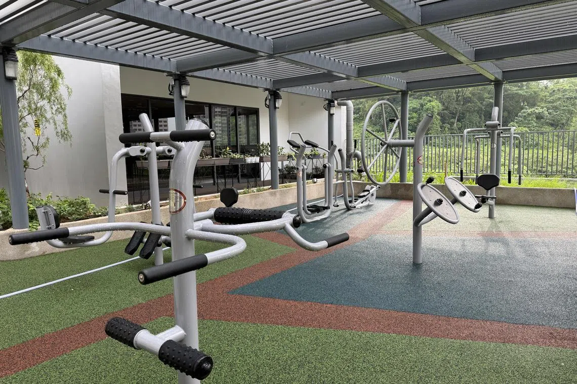 武吉巴督社区关爱组屋的三楼设有社区花园、健康步道和户外健身角落，居民可在这里活动筋骨、保持身心健康。（邝启聪摄）