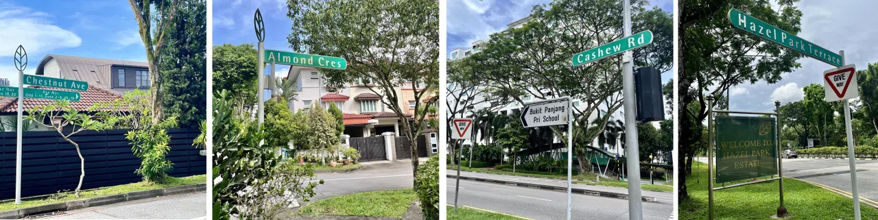 凯秀地铁站附近有四条以坚果命名的街道，充满趣味。（陈映蓁摄）