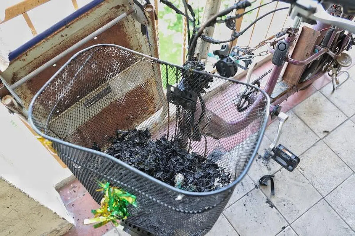 车篮中还有烧毁的残留物。（读者提供）