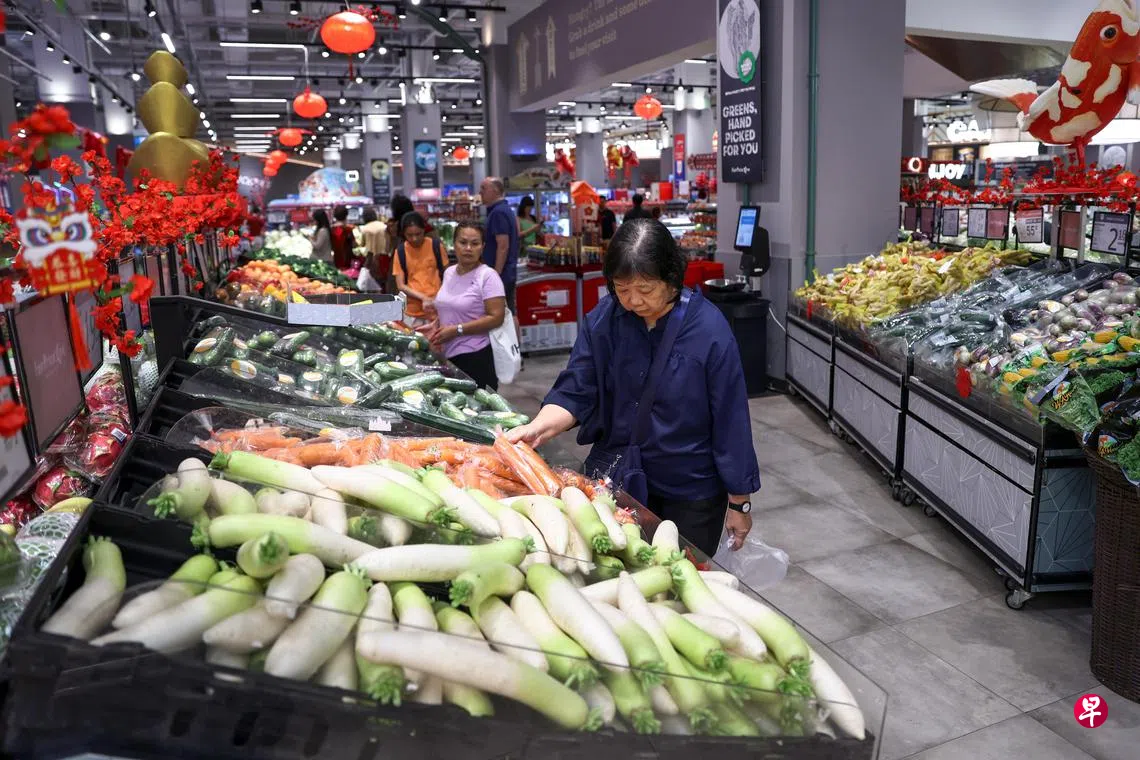 我国2月核心通胀降至0.6% 再创近四年新低| 联合早报