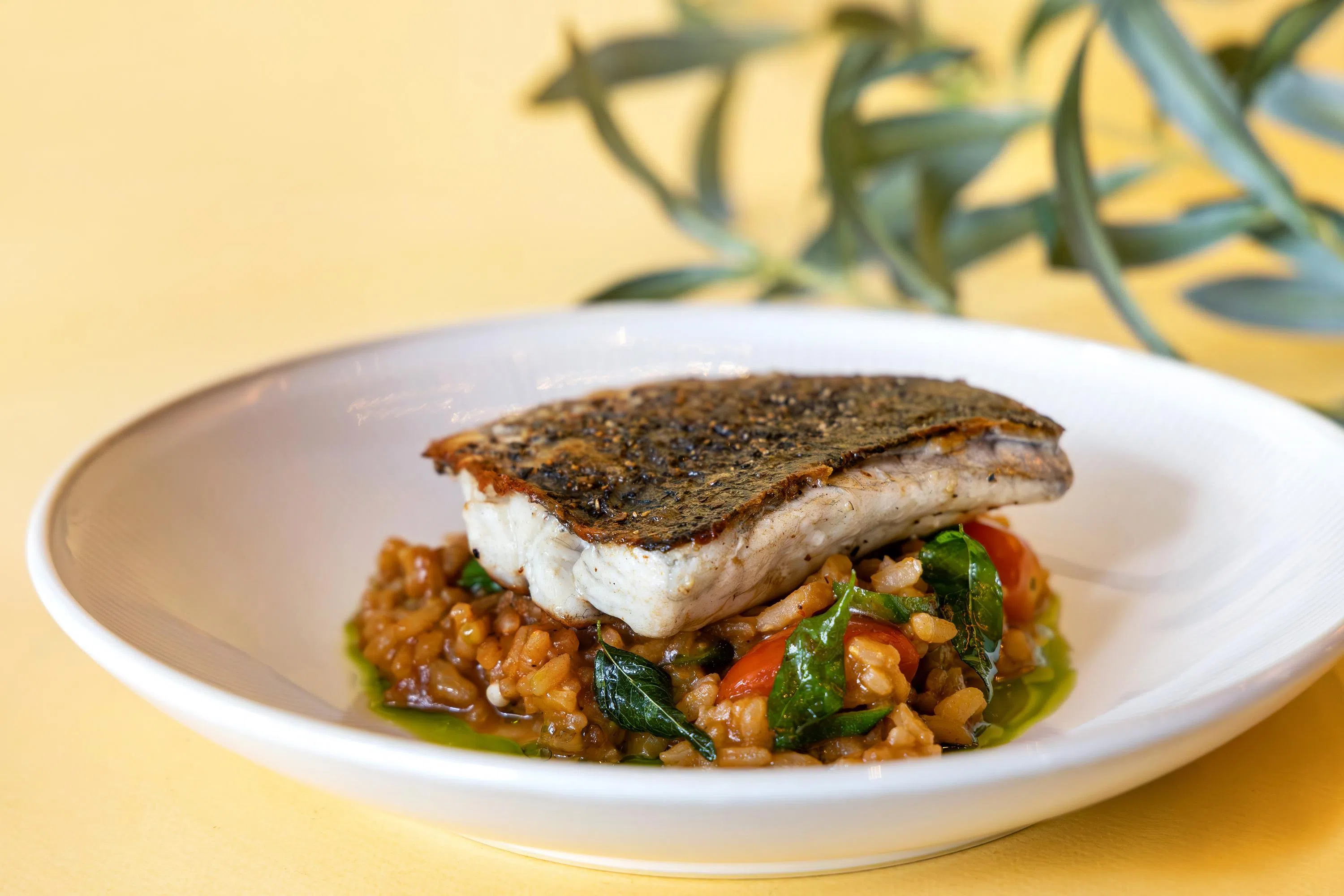 亚参澳大利亚肺鱼意式炖饭以罗望子的酸香平衡炖饭的浓稠。（餐馆提供）