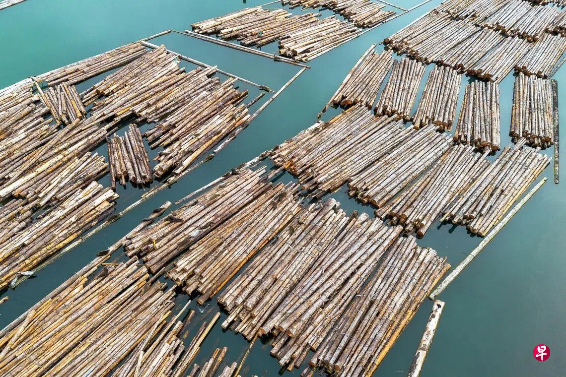 美国周二起对进口木材与家具加征关税| 联合早报